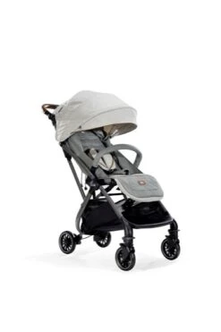 Joie Signature Tourist Buggy Oyster